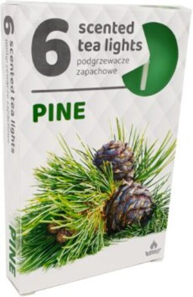 Scented tea candles (6 pcs) - Pine