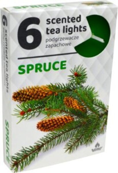 Scented tea candles (6 pcs) - Spruce