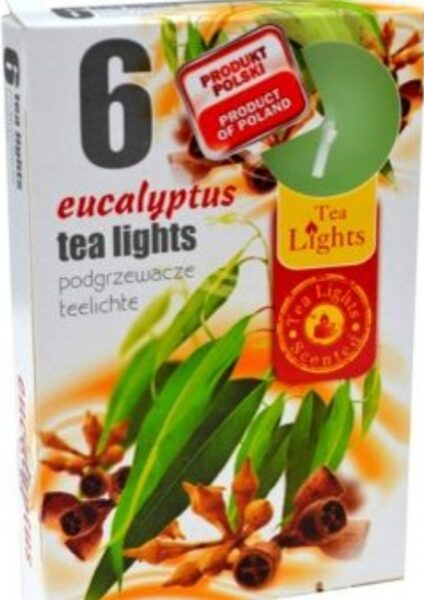 Scented tea candles (6 pcs) - EUCALYPTUS