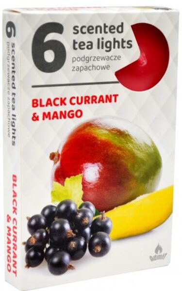 Scented tea candles (6 pieces) - Black currant and mango