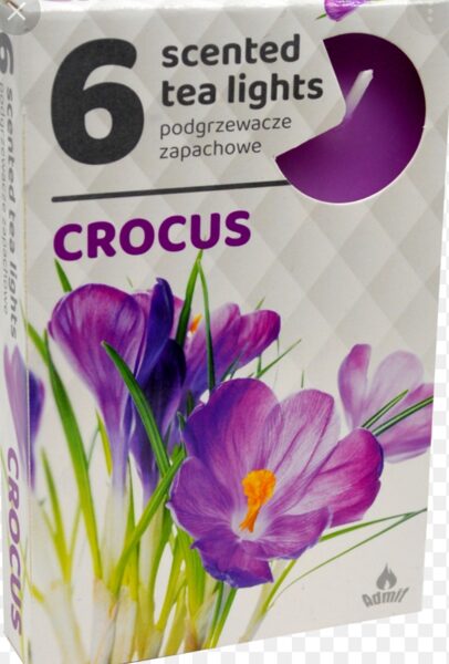 Scented tea candles (6 pcs) - CROCUS